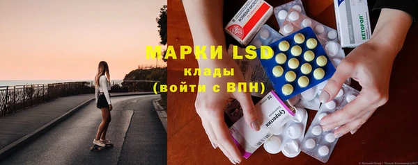 винт Алзамай