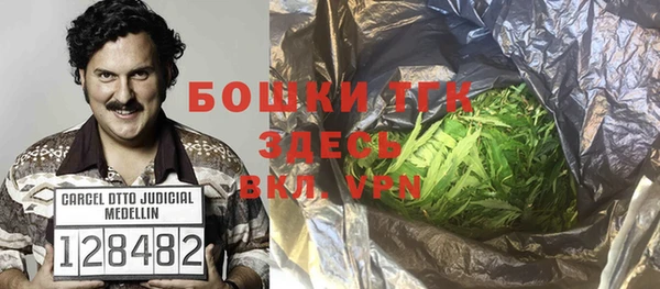 гашик Алексеевка
