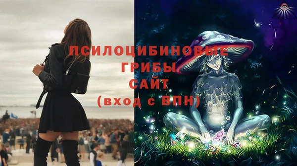 герыч Алексин