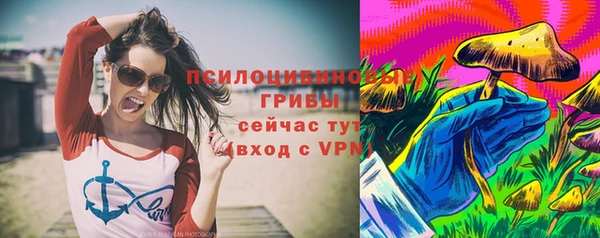 гашик Алексеевка