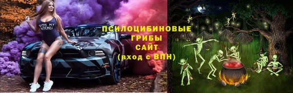 винт Алзамай