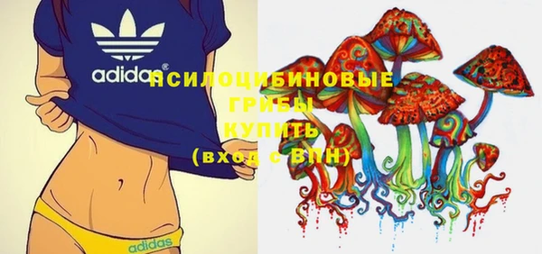 винт Алзамай