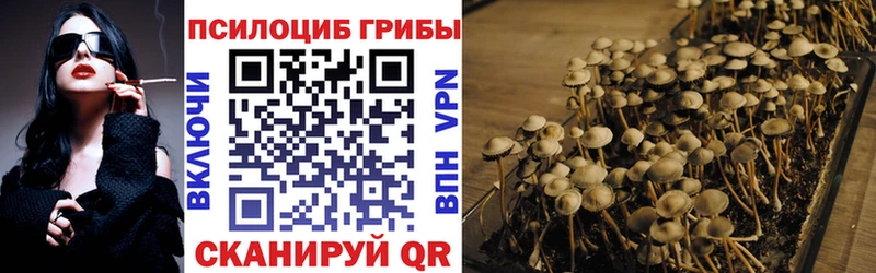 блэк спрут онион  Уссурийск  Псилоцибиновые грибы Psilocybine cubensis 